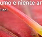 ^12D0817D3CA0C61014F9FB026E136E1BD16B50ADBDEC0544D6^pimgpsh_thumbnail_win_distr